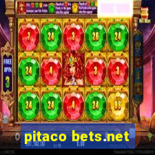 pitaco bets.net